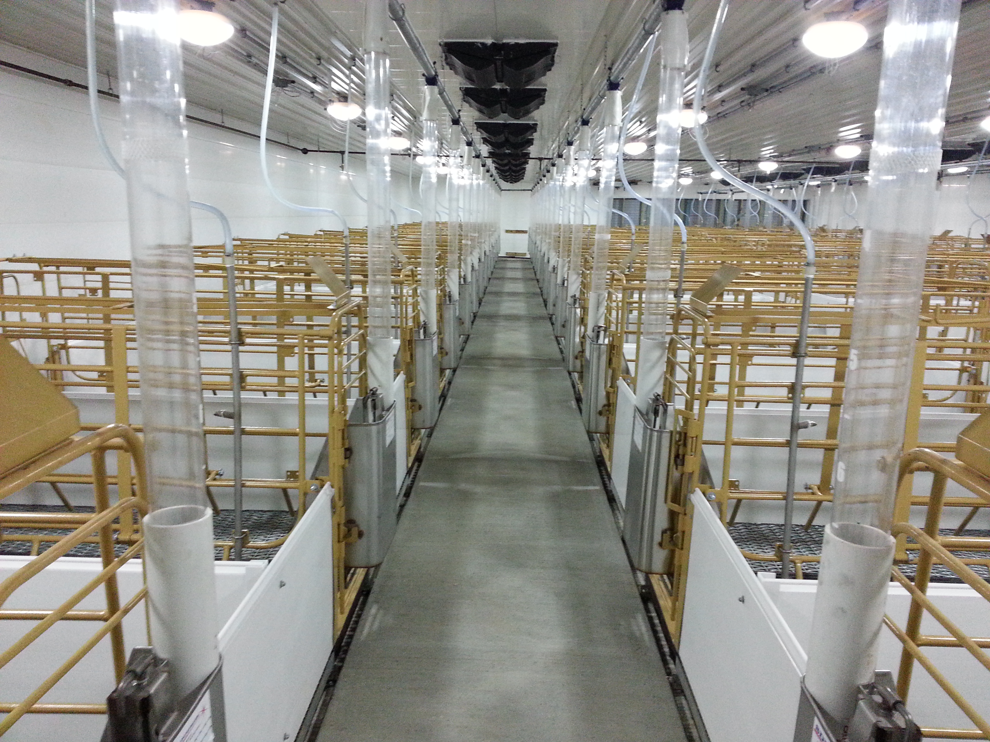 饲喂系统工程