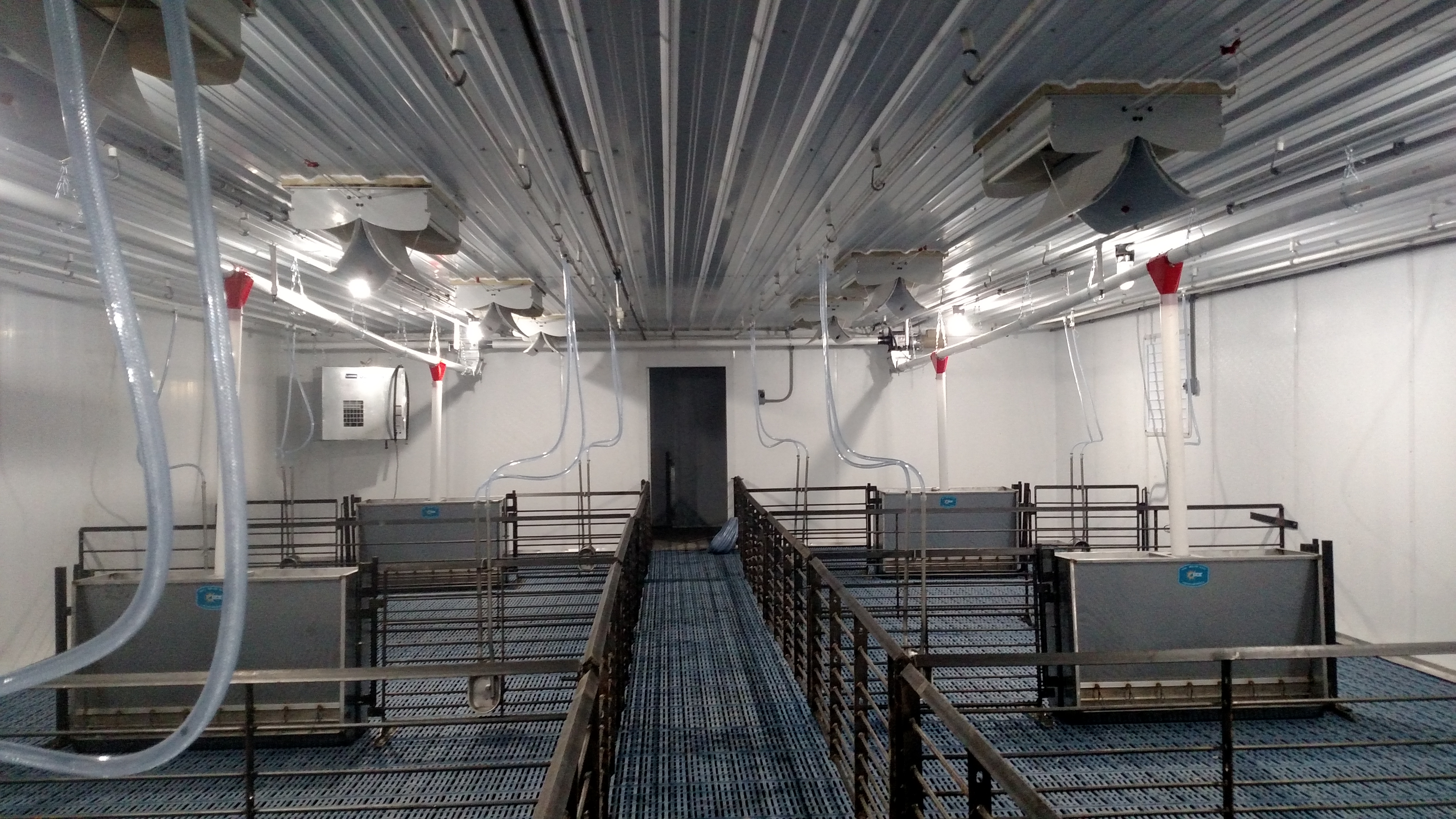 Pneumatic feeding system